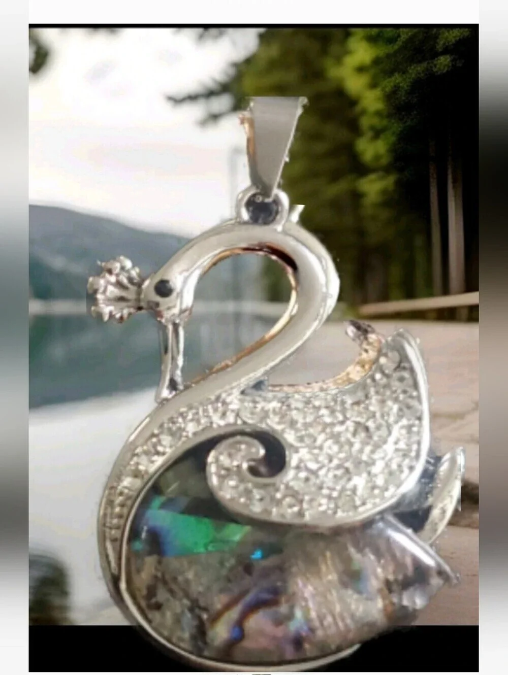 Abalone Shell Crystal Swan Queen Pendant Necklace in Polished Stainless Steel